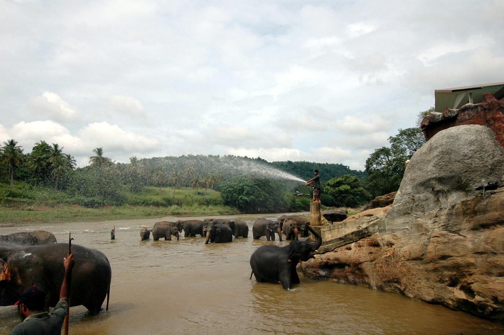 Chiang Mai Elephant Sanctuary, Thailand